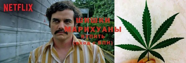 a pvp Белокуриха