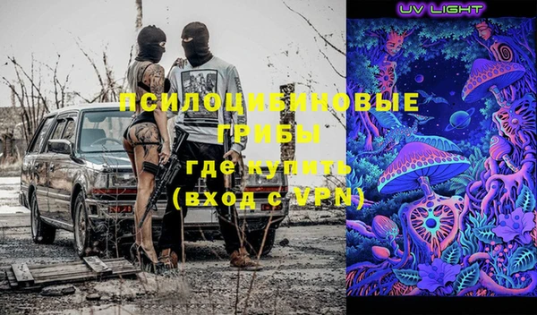 a pvp Белокуриха